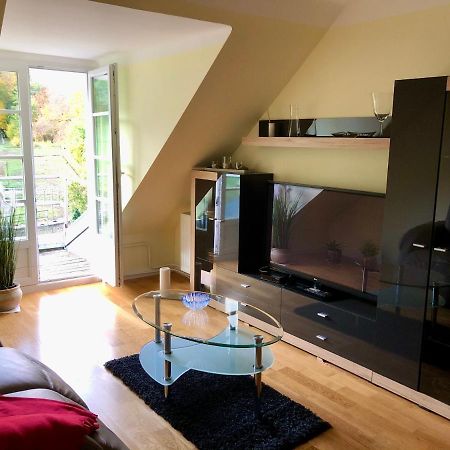 Ferienwohnung Im Gruenen Auf Idyllisch Gelegenen Gutshof Und Doch So Zentral Waldshut-Tiengen Exteriér fotografie