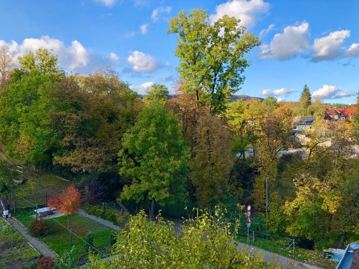 Ferienwohnung Im Gruenen Auf Idyllisch Gelegenen Gutshof Und Doch So Zentral Waldshut-Tiengen Exteriér fotografie